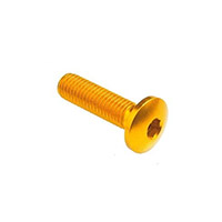 Lightech M6 x15 Tornillo Ergal Redondo oro