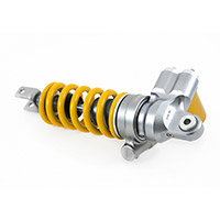 Ammortizzatore Ohlins T36PR1C1LS Bmw S1000 XR