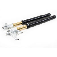 Ohlins Fork Fg 43 Rt Nix Ducati Panigale Black