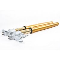 Forcella Ohlins R&T 43 NIX FGRT225 ZX 10 R 2017-18