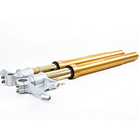 Forcella Ohlins R&t 43 Nix Fgrt226 R Nine T