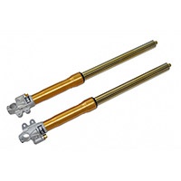 Forcelle Ohlins 43mm Fg434 Bmw Urban Gs
