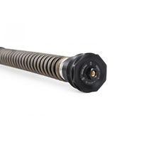 Ohlins Cartuccia Ducati Scrambler Nix 30 Street - img 2