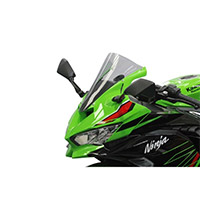 Cupolino Racing Bike Racing Hp Zx-4r Intermedio