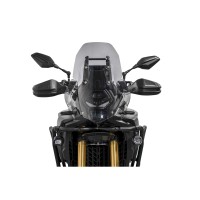 イゾッタ RSG ファクトリー エボ 800 DSX ウインドシールド スモーク