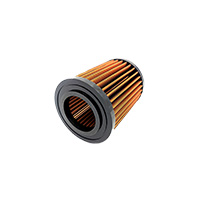 Filtro Aria Sprintfilter P08 Re Himalayan 452