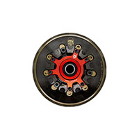 Embrague Antirrebote Húmedo STM S010CF 450 SR
