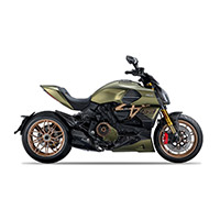 STM Evo GP Umbausatz Lamborghini Diavel 1260 - 2