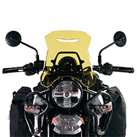Pare-brise Unit Garage Himalayan 450 Jaune