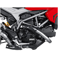 Escudo térmico Akrapovic P-HSD8E2 carbono - 2