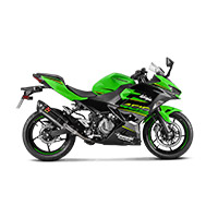 Akrapovic Slip On Carbon Racing Ninja 400 - 2