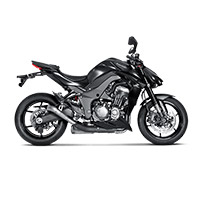 Par Akrapovic Megaphone Titanio Racing Z1000 - 2