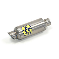 Arrow Gp2 Racing Titanium Silencer Rsv4 2009