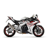 Arrow Indy Race Evo Titanio Ece Slip On Zt703-rr - img 2