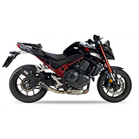 Ixil Round Carbono Xtrem Euro 5 Slip On Hornet 750 - 3