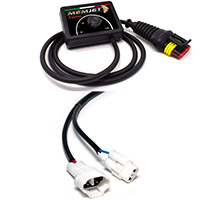 Unidad de Control Memjet Evo Cableado 010