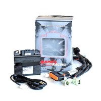 Kit Centralina Rapid Bike Racing Ktm 890 Smt