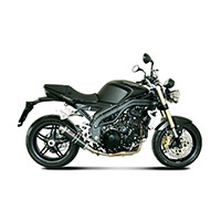 Mivv GP Carbon zugelassener Slip On SPEED TRIPLE 2008 - 2