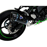 テルミニョーニ関連 チタンブラック フルエキゾースト ZX-4RR
