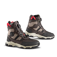 Zapatos Falco Arrakis 2 marron