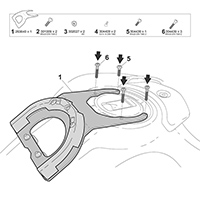 Brida de Tanque Shad R011CS Click System