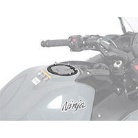 Shad X025ps Pin System Tank Flange